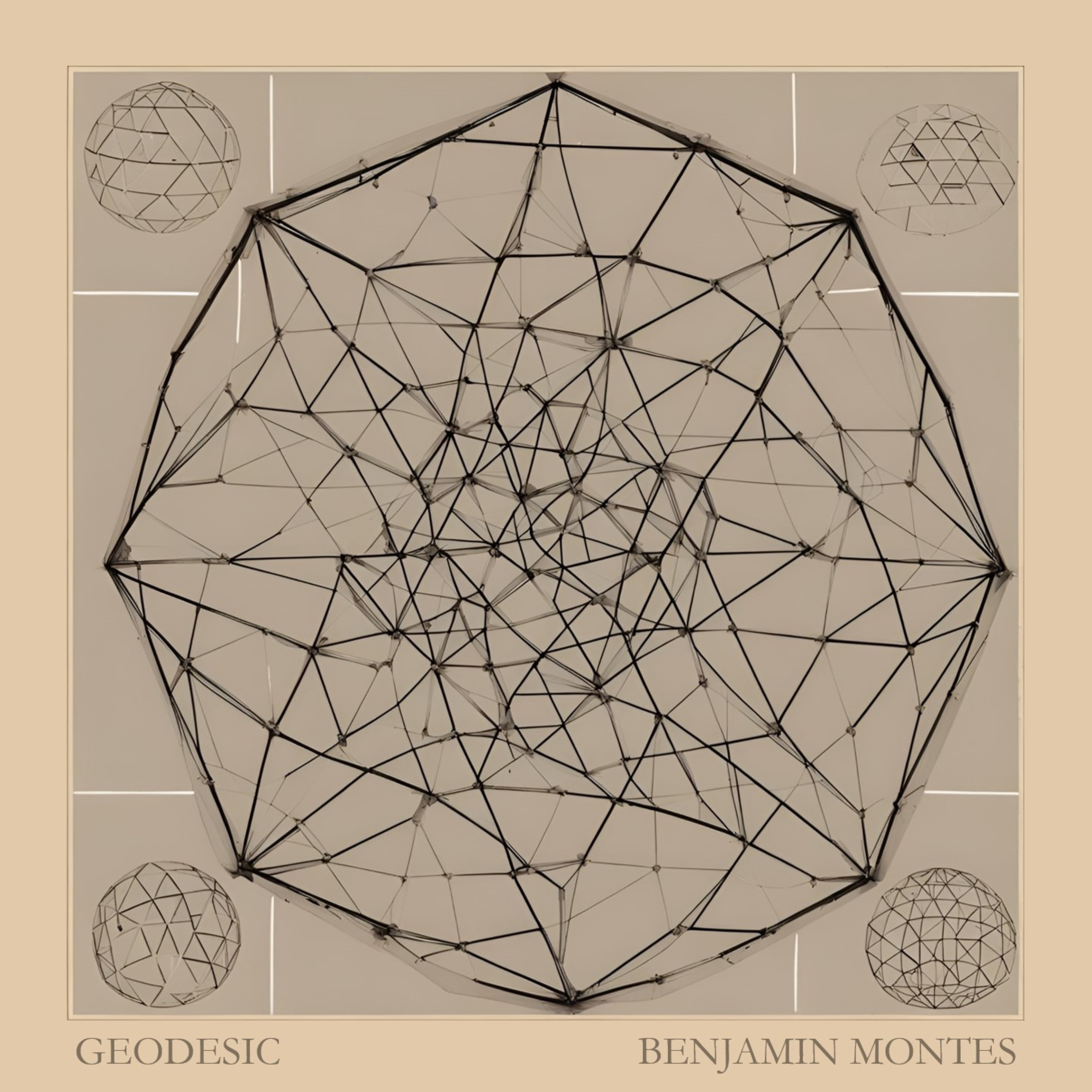 Geodesic